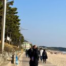 대천아도니스펜션 이미지