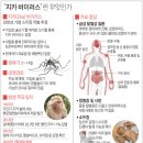 선린연합의원 이미지