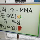 카프킥복싱 MMA 이미지