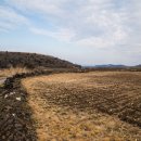 국토종주자전거길1-95 이미지