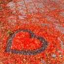 거리의 낙엽으로 그려진 하트 / 낙엽의 시 황금찬 이미지