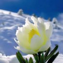 사람과 도시 행정사사무소 이미지