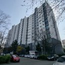 강남-230 이미지