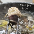 농수산물도매시장 | [경기/수원] 수원 농수산물 도매시장 알쭈꾸미 후기 | 태광수산 알 수율, 가격, 먹는 꿀팁까지