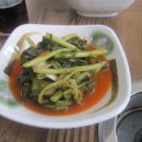 연정칼국수 Daum카페