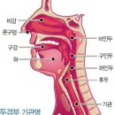 두경부암-소리없는 살인자 이미지