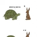 토끼와거북이 이미지