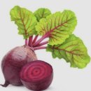 고래고래 이미지