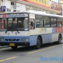 신한여객