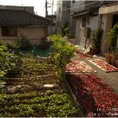 자연에너지 이미지