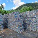 코카갤러리 이미지