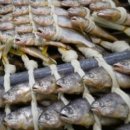 솔내음농장 이미지