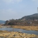 학리천 Daum카페