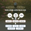 은방울 진동의 미라클 명기과학(2) - 세포의 이온채널 자극과 전기(에너지) 활성, 산화질소(NO) 생성 이미지