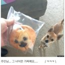 조이웹플러스 | 「빈티지 카메라」 캐논 익서스 60, 익시 70 | 라이카 leica c-lux 2 무보정 작례 비교 - 시장 속 지구본