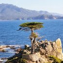 페블비치 이미지