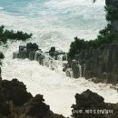 칠절리 이미지