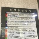 리젤헤어 이미지