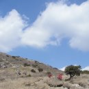 밀양천황산~재약산(사자평원에서 재약산가는길) 이미지
