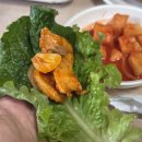 명성가든 | 해남맛집 명성가든 닭코스요리 제대로 푸짐하게 먹고 온 후기
