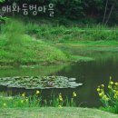 매화둠벙마을 | 태안갯벌체험 매화둠벙마을 태안가볼만한곳 서해갯벌체험과 숙박을 함께!