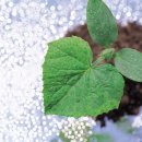 서울종묘사 이미지