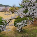 신창면 순천향로 이미지