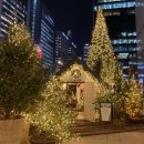 현대 | 8. 더현대 크리스마스 예약 2025 :: 후기/링크/팝업 꿀팁