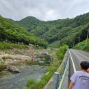 소선암오토캠핑장 | ⛺단양 소선암 오토캠핑장 1일차 후기 A25 사이트 | 아들과 단둘이 떠난 계곡 캠핑