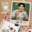 틴틴 Daum카페