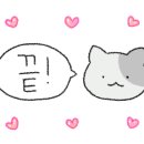 아주대학교 글로벌제약임상대학원 이미지