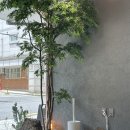 요커청담점 | 청담 | 24시간 영업하는 그릭요거트가 정말 맛있는 카페, 요커 리저브청담점 내돈내산