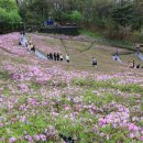 밤동산어린이공원 이미지