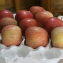 부광 농장 이미지