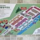 관리도캠핑장 이미지