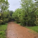 돌실공원 이미지