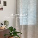 로그린 이미지