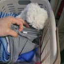 두산세탁 | 입주청소 다시 맡겼습니다… 이번에는 달랐습니다｜오송두산위브센티움 입주청소 후기