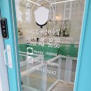 허니모모 애견미용실 이미지