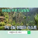 명장과 함께하는 목공예 | 아이랑 함께 발리 우붓 북부 여행 뜨갈랄랑 근교 1박2일 일정공유
