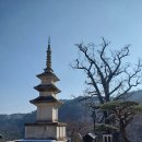 양평. 용문산 용문사 (사찰기행)
