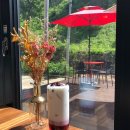 충청북도 보은군 보은읍 삼산로 4 이미지