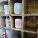 광명성애병원 이미지