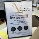 W1. 베일즈 대구 제주 야외웨딩스냅 촬영용 블랙드레스 피팅 후기 (예약방법, 피팅비, 입수가능여부 등)