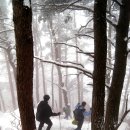 삼만목장 이미지