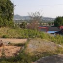 동량면사무소 이미지