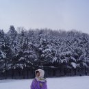 상당산성 이미지