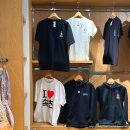 11650-1-10-636 | 강원도 속초 가볼만한 곳 설악산 케이블카 가격 후기 부모님 모시고 가기 좋은 곳 추천