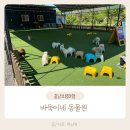 바둑이농장 | 보령 아이와 가볼만한 곳｜바둑이네 동물원 솔직후기 (개화예술공원 내)