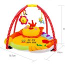 라이온 체육관 이미지